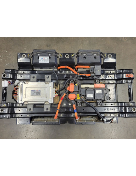 2016-2019 Hyundai Sonata/Kia Optima Hybrid Battery Assembly - E0000
